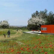 ΥΠΕΝ: Χαμηλή δόμηση και υψηλή βλάστηση για τα αστικά πάρκα «Παύλος Μελάς» και ΔΕΘ