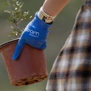 Team AEGEAN: γιορτή αγάπης για το περιβάλλον στον Υμηττό