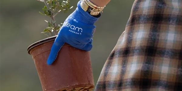 Team AEGEAN: γιορτή αγάπης για το περιβάλλον στον Υμηττό