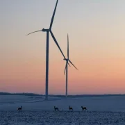 ΔΕΗ: 2 GW από ΑΠΕ έως το τέλος του έτους στη Ρουμανία