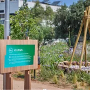 ΔΕΗ: Δημιούργησε 23 πάρκα τσέπης σε Αθήνα και Θεσσαλονίκη