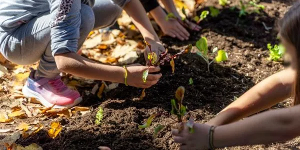 ΔΕΗ και Open Farm προωθούν τη βιώσιμη γεωργία στους μαθητές