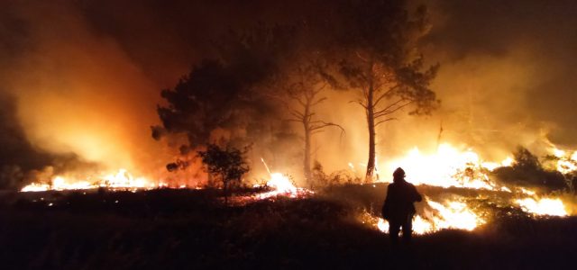 WWF: 5 ερωτήματα που «καίνε» τη Δαδιά