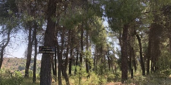 Αρχίζει απαγόρευση κυκλοφορίας σε δάση και πάρκα, με πρόστιμο 300 ευρώ