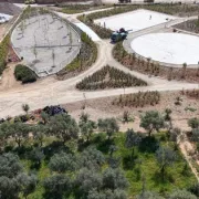 Παράταση του Αρχιτεκτονικού Διαγωνισμού για τον Ελαιώνα