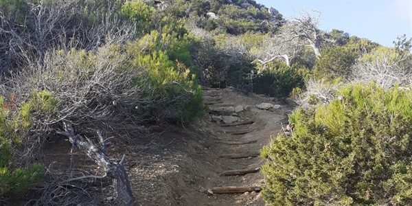 Γαύδος: ολοκληρώθηκε το έργο συντήρησης του δικτύου μονοπατιών
