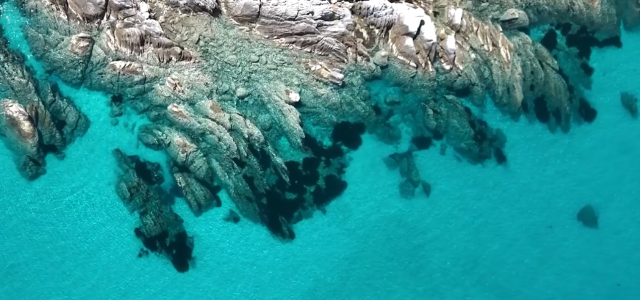 Γυάρος: διατηρείται η απαγόρευση αλιευτικής δραστηριότητας