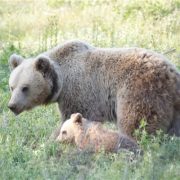 ΕΕ: Βραβεία “Natura 2000” για το έτος 2018 – Η Ελλάδα στους έξι νικητές