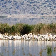 ΟΦΥΠΕΚΑ: 65 εκδηλώσεις σε όλη την Ελλάδα για την Ημέρα Περιβάλλοντος