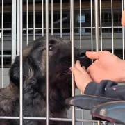 Μια ξεχωριστή συνάντηση τρυφερότητας και κατανόησης στο ΔΙΚΕΠΑΖ