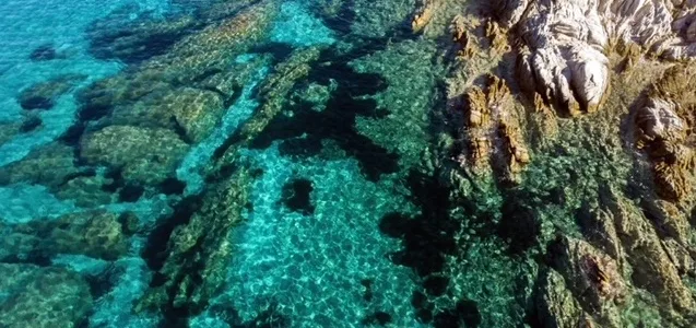 Ειδικές Περιβαλλοντικές Μελέτες για τα Εθνικά Θαλάσσια Πάρκα