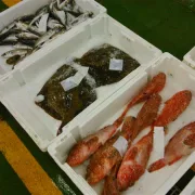 SeaSeMe: νέα πλατφόρμα για ασφαλή κατανάλωση ψαριών και θαλασσινών