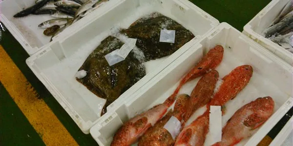 SeaSeMe: νέα πλατφόρμα για ασφαλή κατανάλωση ψαριών και θαλασσινών