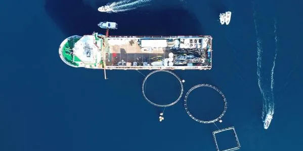 Απομάκρυνση εγκαταλελειμμένης μονάδας ιχθυοκαλλιέργειας από τον Σαρωνικό