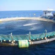 ΕΕ: Τελεσίγραφο για τον θαλάσσιο χωροταξικό σχεδιασμό