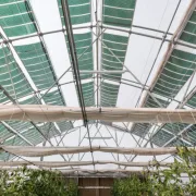 Αγροβολταϊκά με ελληνική τεχνογνωσία που… καλλιεργούν κέρδος