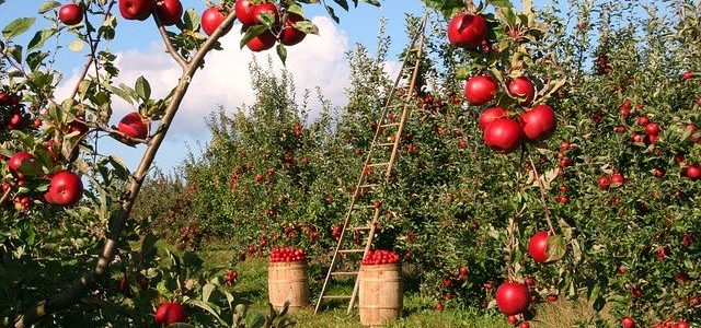 Το Γεωπονικό Πανεπιστήμιο Αθηνών κόμβος του EIT Food στην Ελλάδα