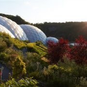 Eden Project: κορυφαίο παράδειγμα βιομιμητικής αρχιτεκτονικής