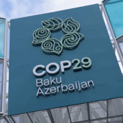 COP29: η εκπροσώπηση της Ελλάδας στη διάσκεψη για την κλιματική αλλαγή