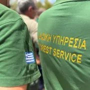 Δασική Υπηρεσία: αναγκαία ενίσχυση, σε ανθρώπινο δυναμικό και μέσα
