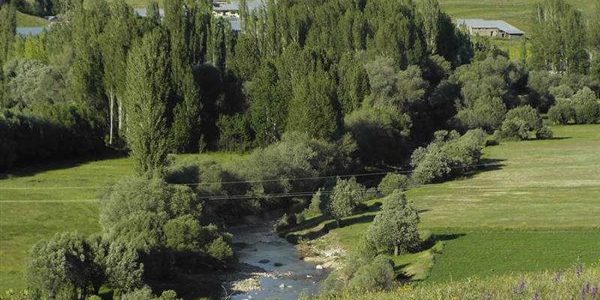 Με δικαστική απόφαση τα δάση και οι δασικές εκτάσεις δεν απαλλάσσονται από τον ΕΝΦΙΑ