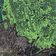 ΥΠΕΝ: αρχική κύρωση των δασικών χαρτών στο 90% της επικράτειας