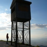 Ανοίγει η πλατφόρμα του ΟΑΕΔ για τις αιτήσεις στο νέο πρόγραμμα κοινωφελούς εργασίας αντιπυρικής προστασίας των δασών για 5.066 ανέργους  με 8μηνες συμβάσεις – Όλες οι θέσεις ανά περιοχή της χώρας