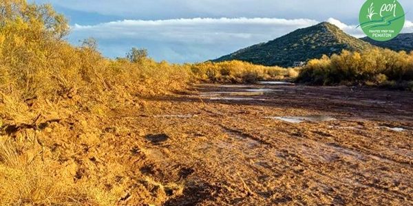 ΡΟΗ-ΕΛΛΕΤ:  Όχι στην καταστροφή του Ερασίνου-Βραυρώνας  