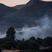 Δαδιά: δύσκολη η κατάσταση στο ευαίσθητο δασικό οικοσύστημα