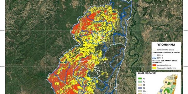 Δαδιά: αποτίμηση των καμένων δασικών εκτάσεων από ΥΠΕΝ