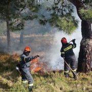 Πρόληψη δασικών πυρκαγιών με ελεγχόμενες φωτιές στο δάσος  