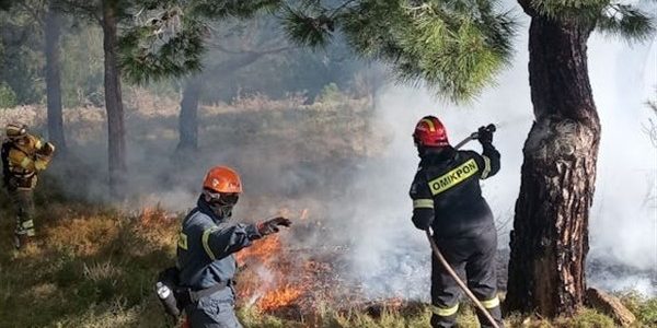 Πρόληψη δασικών πυρκαγιών με ελεγχόμενες φωτιές στο δάσος  