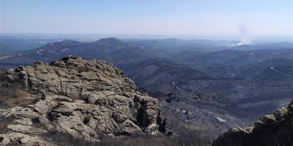 Αδειοδότηση αιολικού στα καμένα του Έβρου, μέσα σε Natura