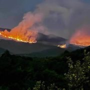 Δασικές Υπηρεσίες: μόνον πληροφορίες από το γραφείο για μεγάλες πυρκαγιές