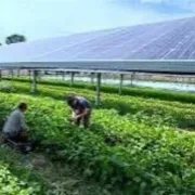 Έρχεται νέο πρόγραμμα για φωτοβολταϊκά στο χωράφι