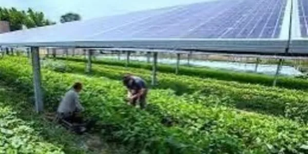 Έρχεται νέο πρόγραμμα για φωτοβολταϊκά στο χωράφι