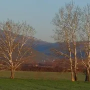 Βιοκαύσιμα: οι μύθοι, τα πραγματικά δεδομένα και ο ρόλος τους στις ΑΠΕ