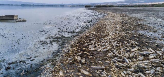 ΥΠΕΝ: Λύση άμεσης παρέμβασης για τη Λίμνη Κορώνεια