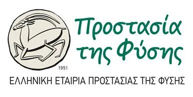 ΕΕΠΦ: «Σεμινάριο επιμόρφωσης εκπαιδευτικών» & «Μουσικά Όργανα από Μέταλλα»