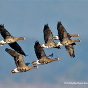  Natura 2000: Επεκτείνεται το δίκτυο προστασίας, στο σύνολο των  446 περιοχών της χώρας,  με νομοσχέδιο του ΥΠΕΝ   