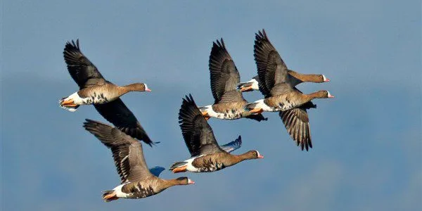  Natura 2000: Επεκτείνεται το δίκτυο προστασίας, στο σύνολο των  446 περιοχών της χώρας,  με νομοσχέδιο του ΥΠΕΝ   