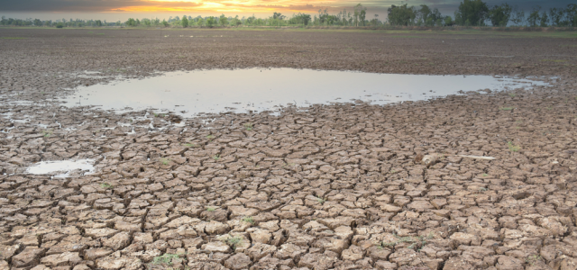 Η ξηρασία, είναι άραγε ο μεγάλος υπαίτιος της έλλειψης νερού;