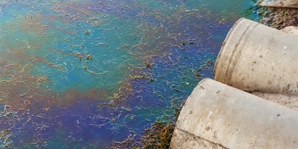 Περιβαλλοντικά εγκλήματα: φυλάκιση έως 10 ετών και πρόστιμα 40 εκατ. ευρώ