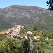 Οικισμοί: μετά το εμπάργκο δόμησης στην περιπέτεια του Δασικού Χάρτη