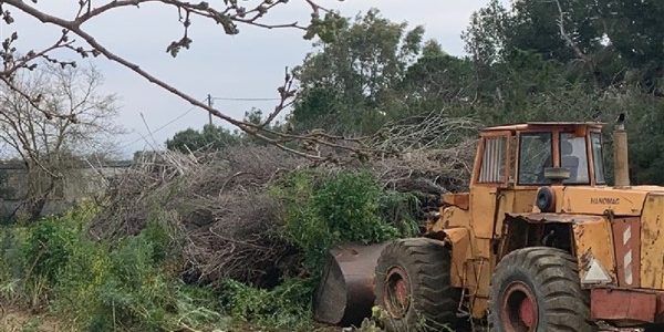 Πυροπροστασία: τα αγκάθια για καθαρισμούς οικοπέδων και δασικά ακίνητα