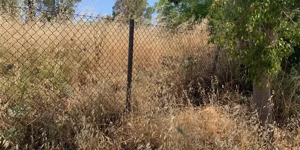 Υπουργείο: διάρκειας 6 μηνών η υποχρέωση των ιδιοκτητών για καθαρά οικόπεδα