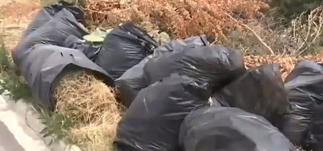 Οικόπεδα: «σολομώντεια λύση» για την αποκομιδή βιομάζας καθαρισμών