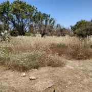Οικόπεδα: αίτημα παράτασης της προσθεσμίας καθαρισμών