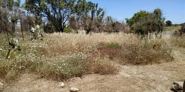Οικόπεδα: αίτημα παράτασης της προσθεσμίας καθαρισμών