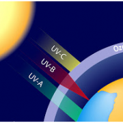 Οι αιτίες για τη συνεχιζόμενη αραίωση του όζοντος της κατώτερης στρατόσφαιρας –  Οι επιπτώσεις της  υπεριώδους ακτινοβολίας (UV) του ήλιου στους ανθρώπους τα ζώα και τα φυτά